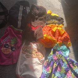 Dog Clothes 20$ For All Or 5 $ Each 