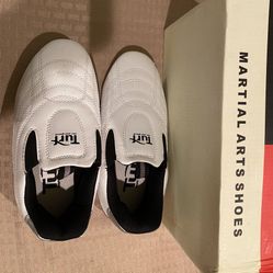 Brand New Martial Art Shoes 