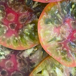 Rare Organic Black Pineapple Heirloom Tomato Plants! 2025 SEASON EARLY RELEASE! Available Now! 