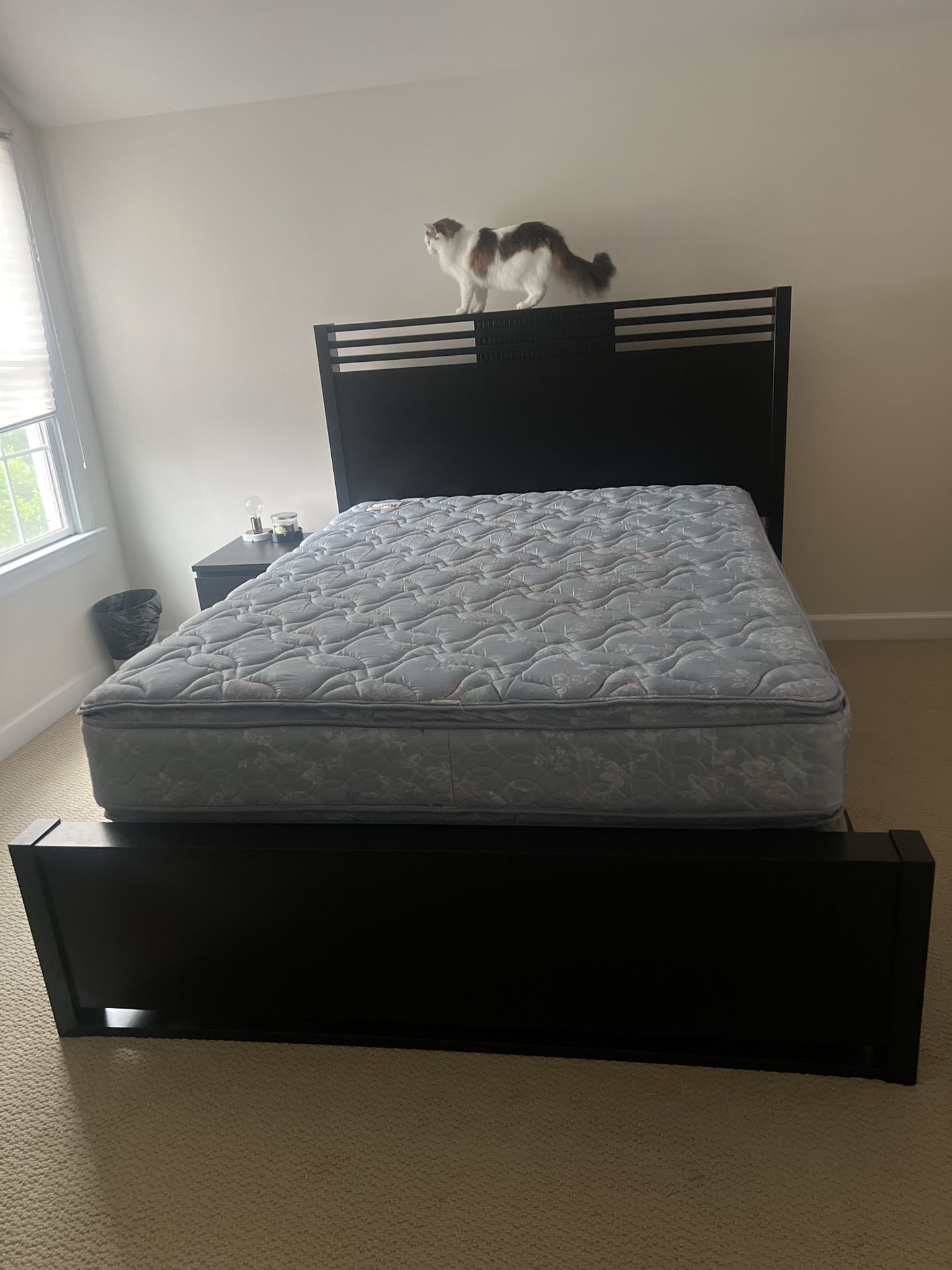 Queen Bed