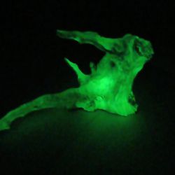 Glow In The Dark Decoration