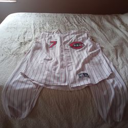 AIS Custom Cincinnati Reds Athetic Uniform