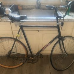 Xl 6’1-5 Single Speed City Bike Custom
