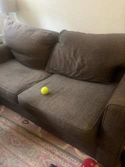 Free sofa with pull out bed