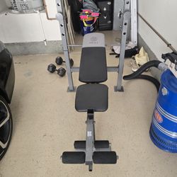 Golds Gym Weight Bench