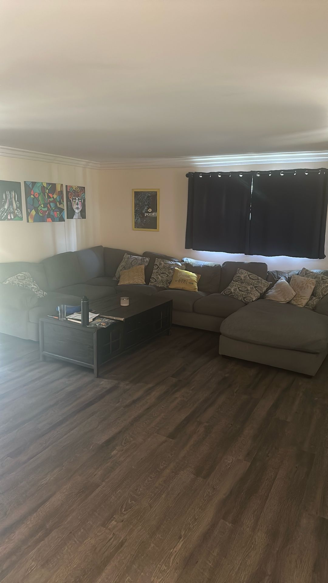 Sectional Couch