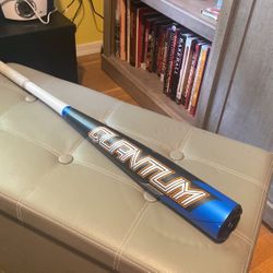 Easton Quantum 33”30oz BBCOR Baseball Bat