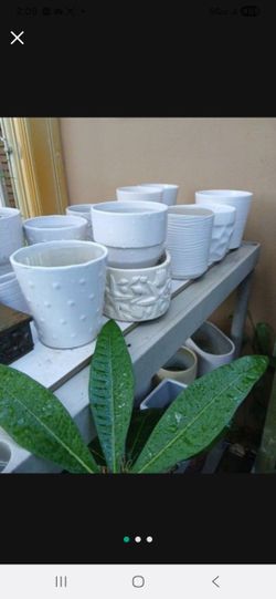 Ceramic Houseplant Pots