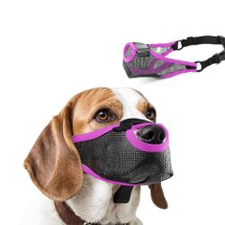 Dog Muzzle (Bozal De Perro)