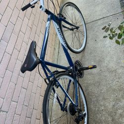 Schwinn Varsity Road Bike