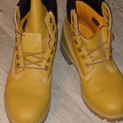 Timberland 6-in Boots