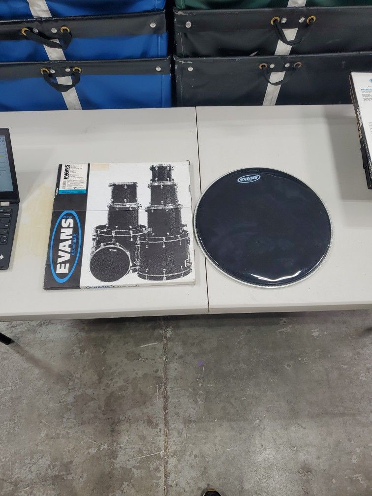 Evans 16" Hydraulic Black Drum Head