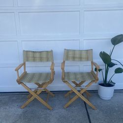 Green Director Chairs Set Of 2 