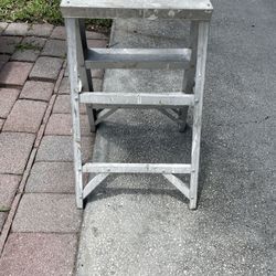 3 Foot Ladder 
