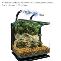 Fish Tank