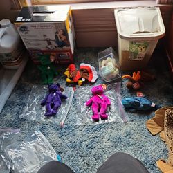 Rare Beanie Babies Have lots More 
