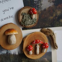 Mushroom Magnets |

  Fungus Magnets |

  Refrigerator Magnets |

  Chalkb

  Magnet |

  Plant Garden Cute Fantasy Decor