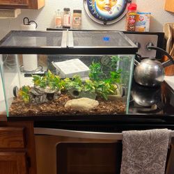 Reptile Terrarium 