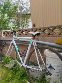 TREK 1200