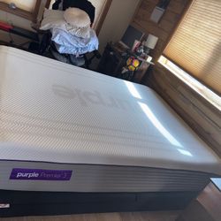 Purple Premier 3 Queen Mattress And bed bed Frame