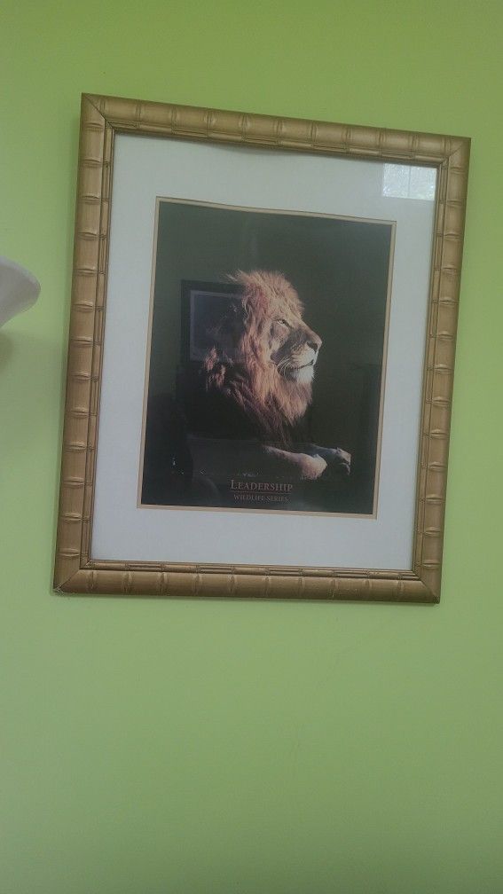 Lion Print Framed Art Piece