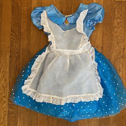 Alice In Wonderland Costume 