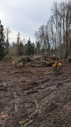 Land Clearing.Small Logging Jobs