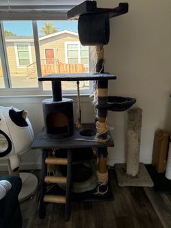 Free cat tree