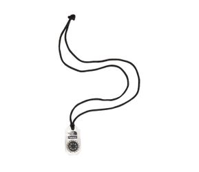 Supreme/North Face Compass Necklace