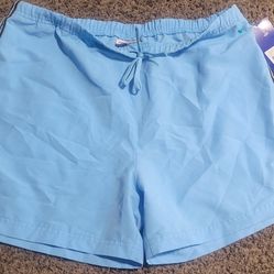 Women Size Large Shorts 