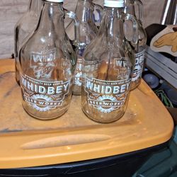 Whidbey Island Growlers