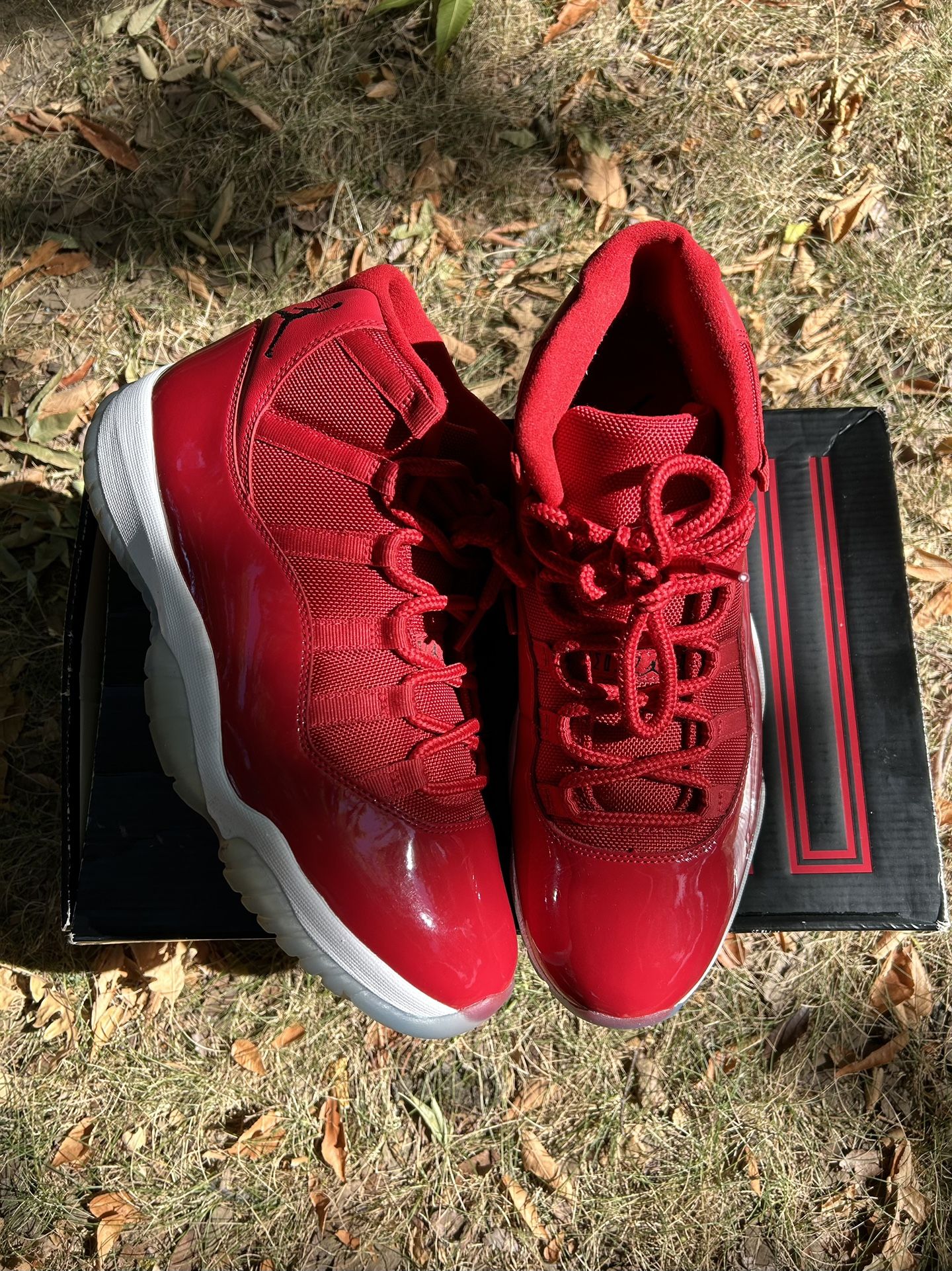 Gym Red Jordan 11s Size 10.5🔥