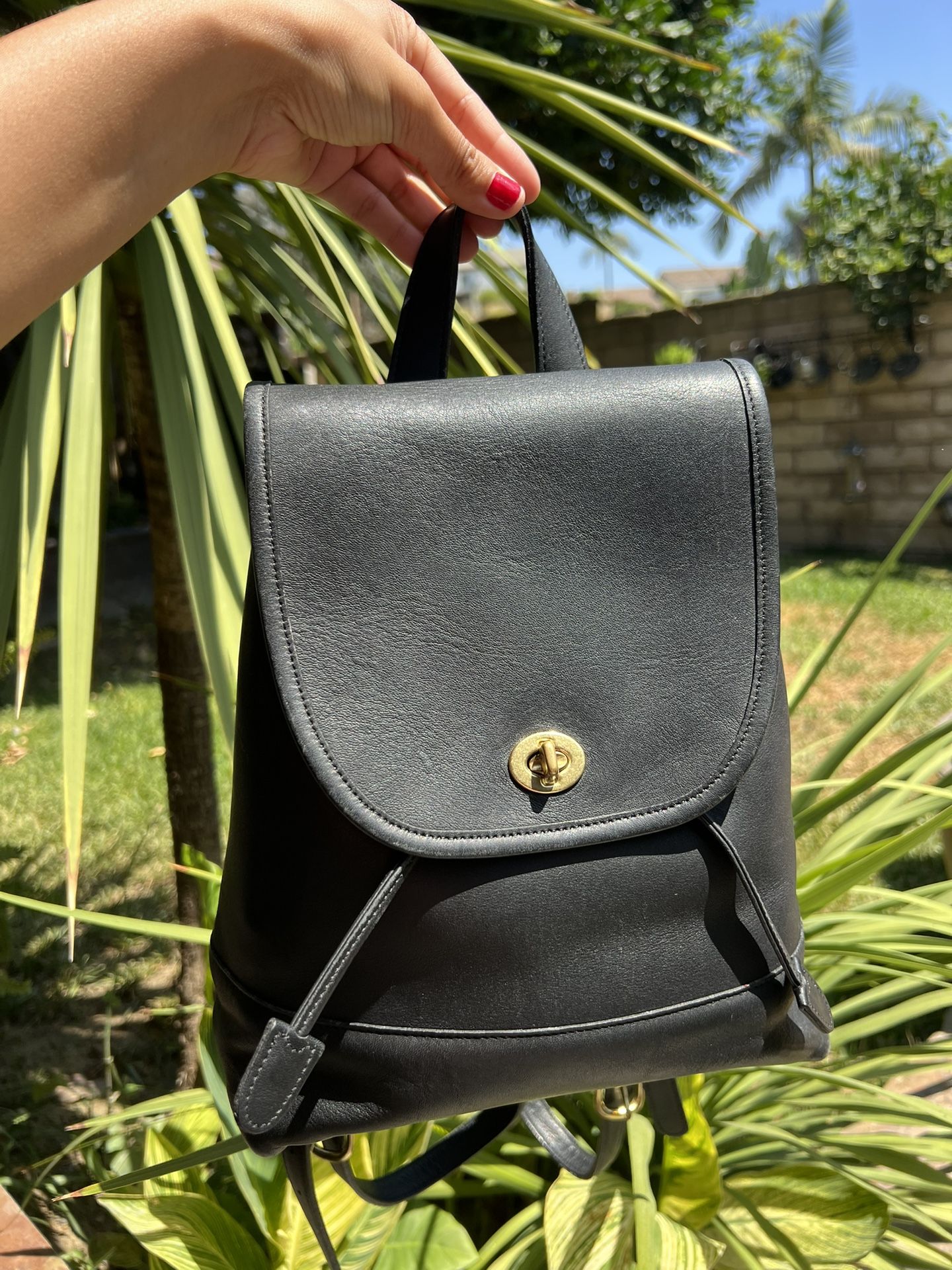 Vintage Coach