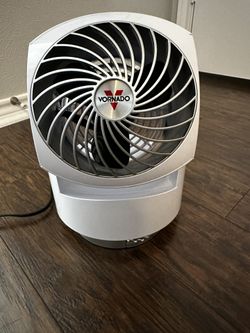 Desk fan: sold at Costco