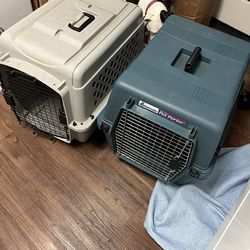 Crate for Medium Dog