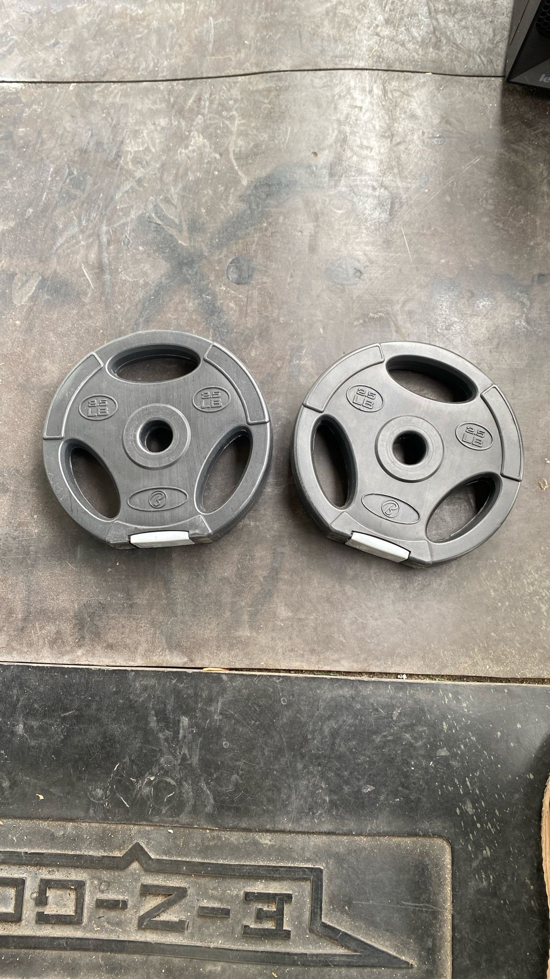 2.5LB (2) Plastic Black Weights