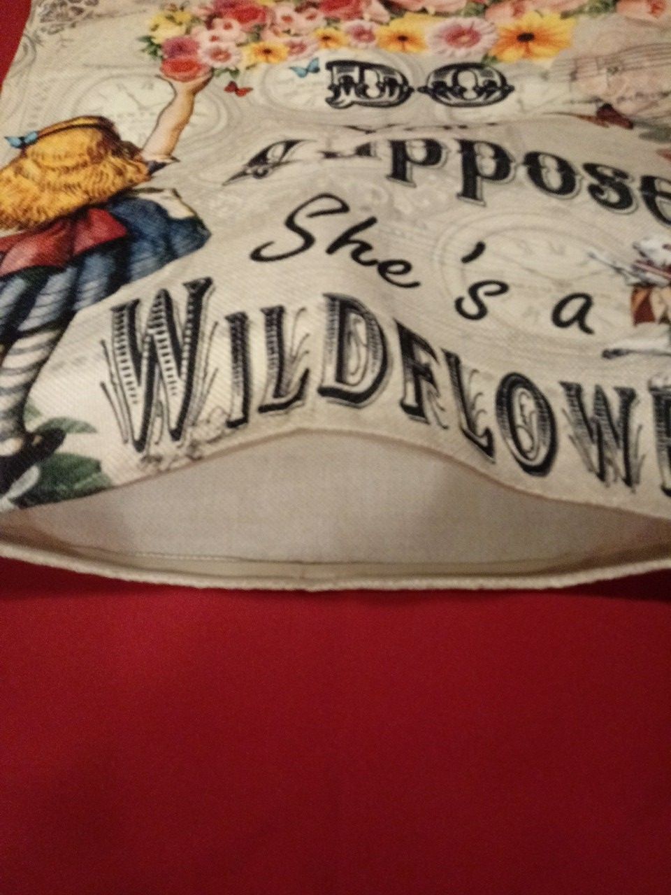 Alice in wonderland