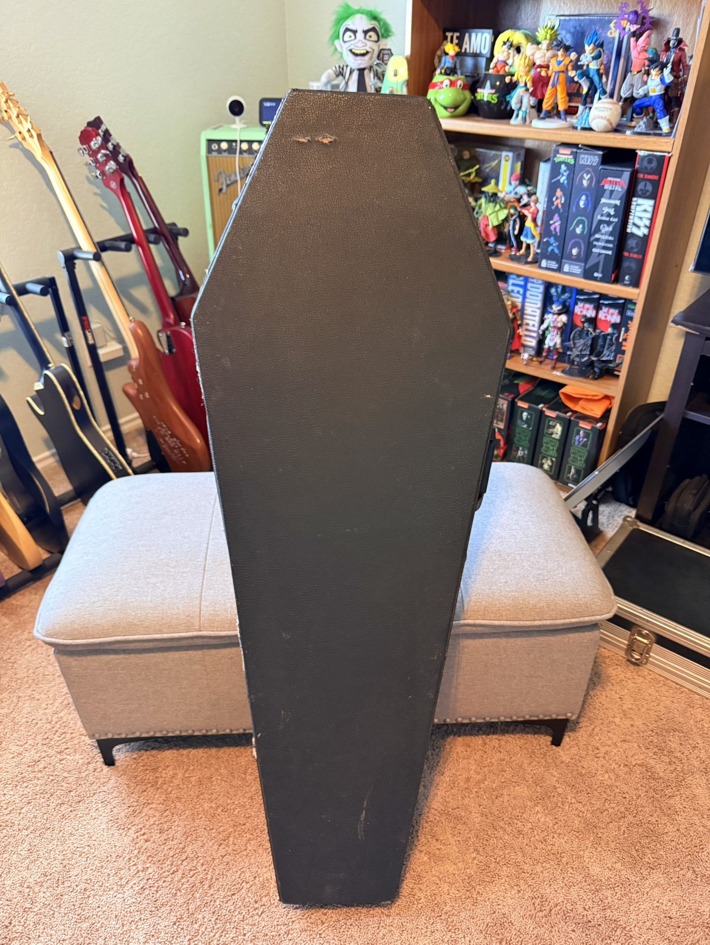Coffin Guitar Case