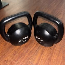 15 Pound Dumbbells (2x) 