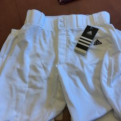 Youth Large baseball Pants