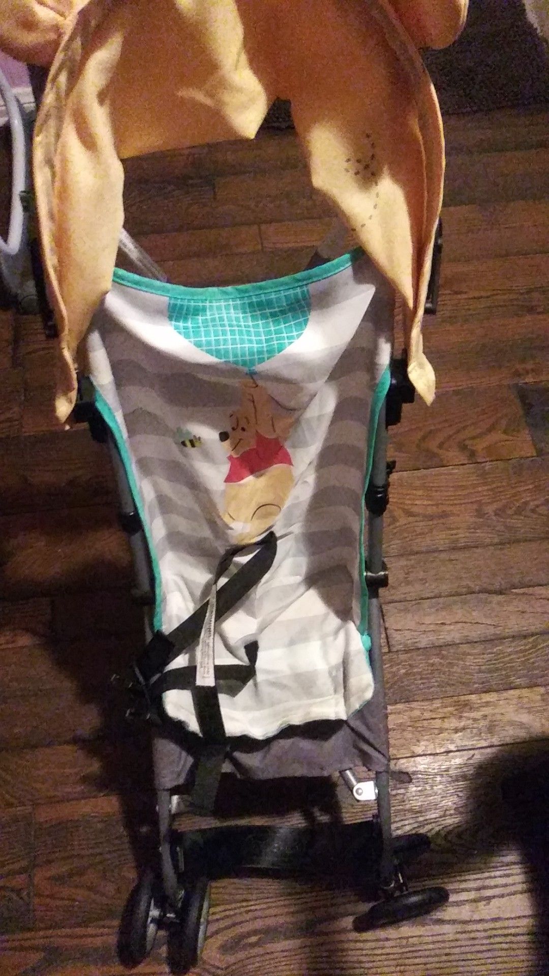 Winnie the pooh stroller