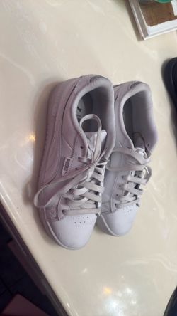 All white pumas