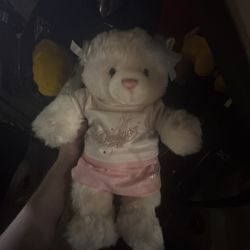 Authentic Disney & Care Bears Plush Collection 