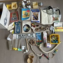 Bird Food And Things