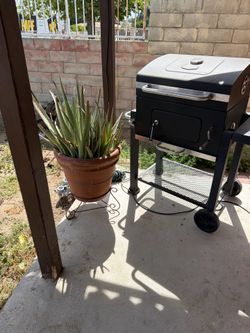 Two plants