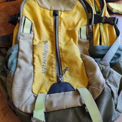 Patagonia Day Pack