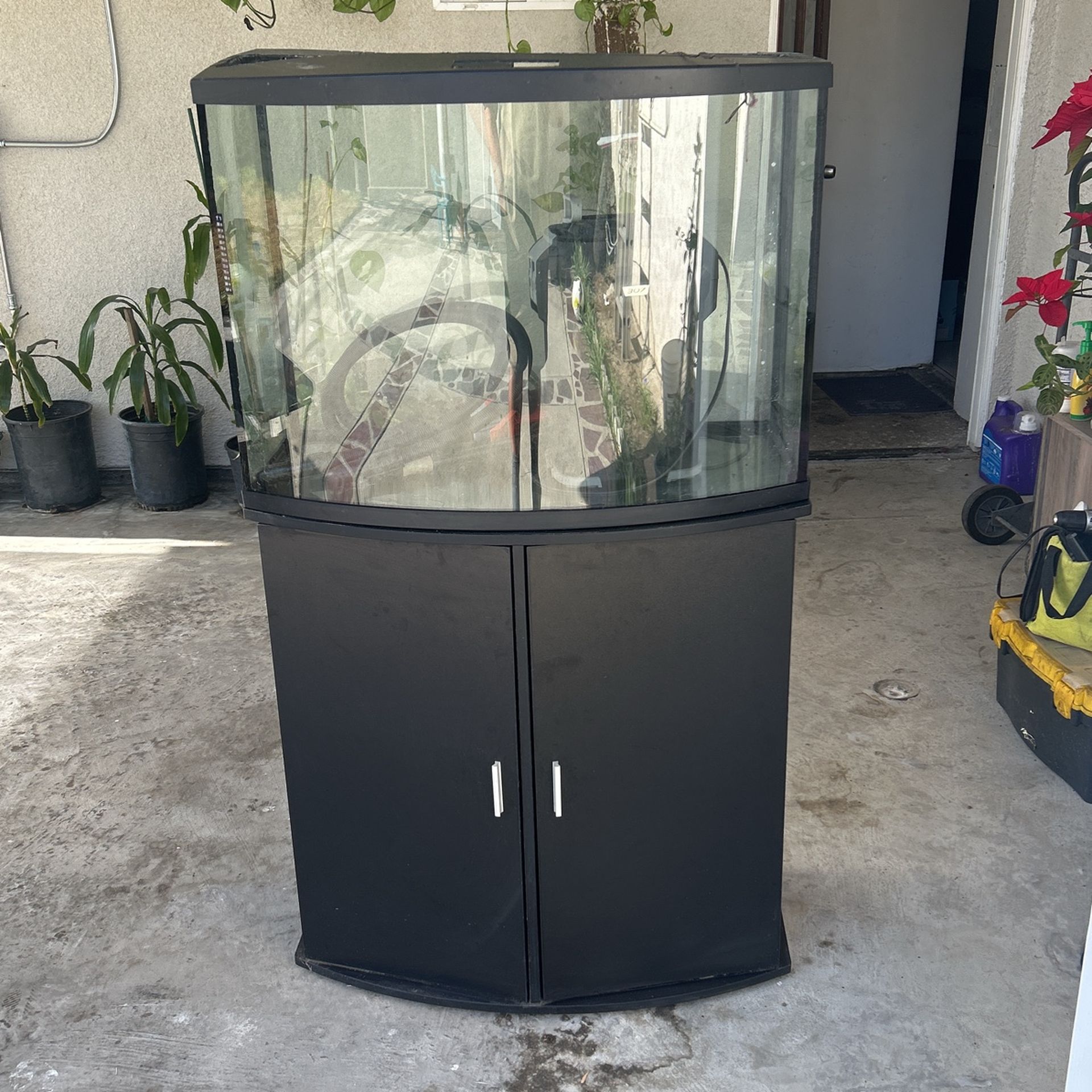 30 Gallon Fish Tank