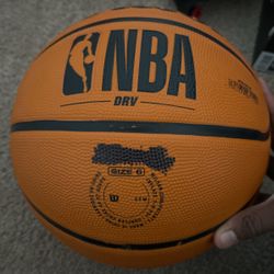 NBA Wilson Ball