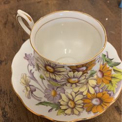 Vintage Daisy Cup and Saucer Bone China