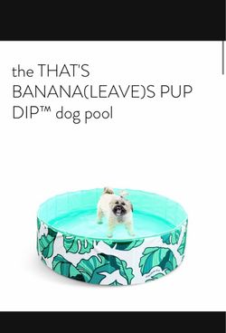Minni- Dip Dog Pool - new